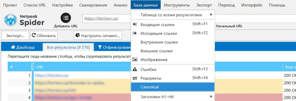 Способ проверки тегов Canonical